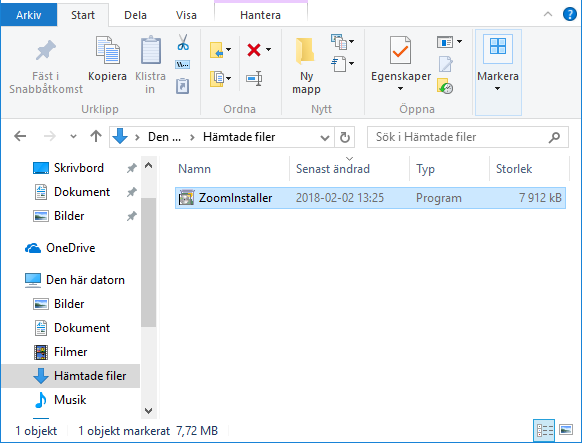 zoom windows download