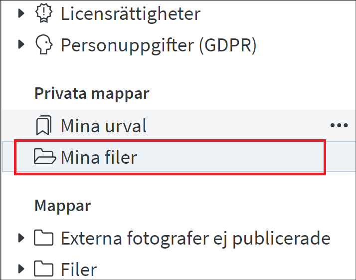 Mina filer i Mediaflow